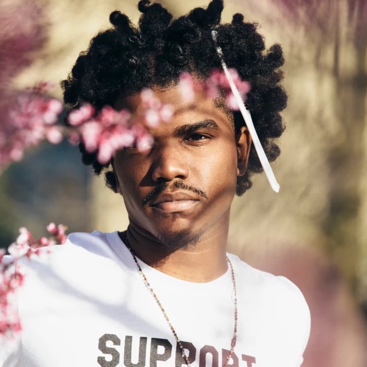 smino hair clips